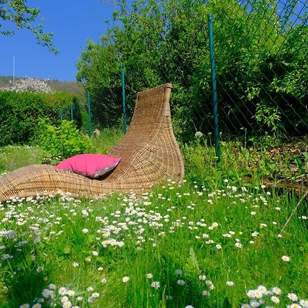 Ferienweingut Wissing Wohnung Frieda Gleiszellen-Gleishorbach Dış mekan fotoğraf