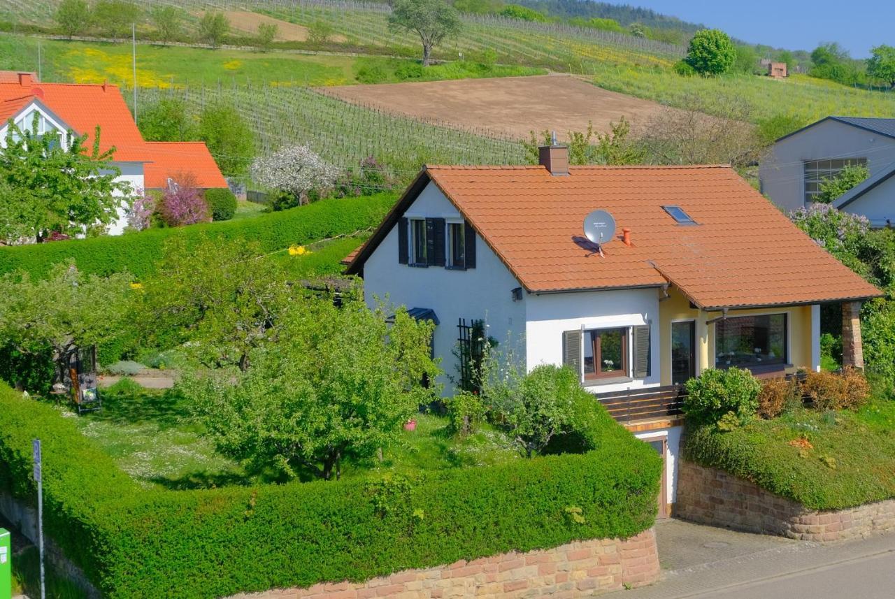 Ferienweingut Wissing Wohnung Frieda Gleiszellen-Gleishorbach Dış mekan fotoğraf