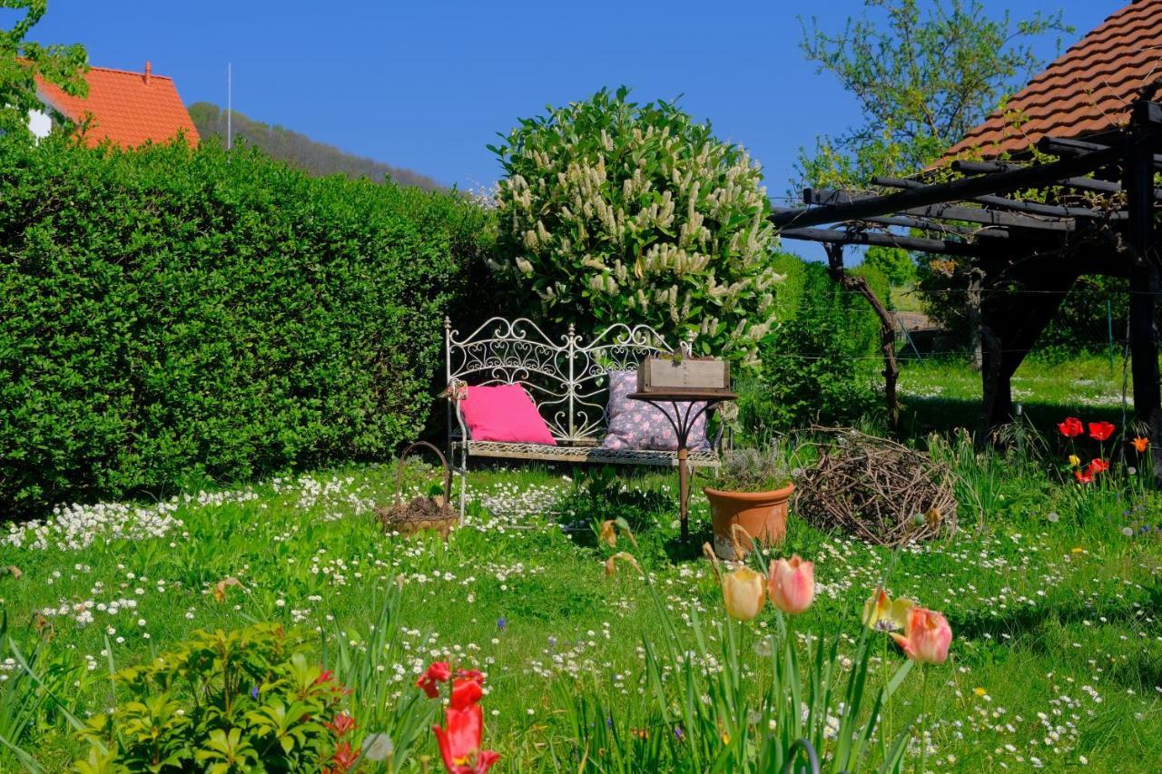 Ferienweingut Wissing Wohnung Frieda Gleiszellen-Gleishorbach Dış mekan fotoğraf